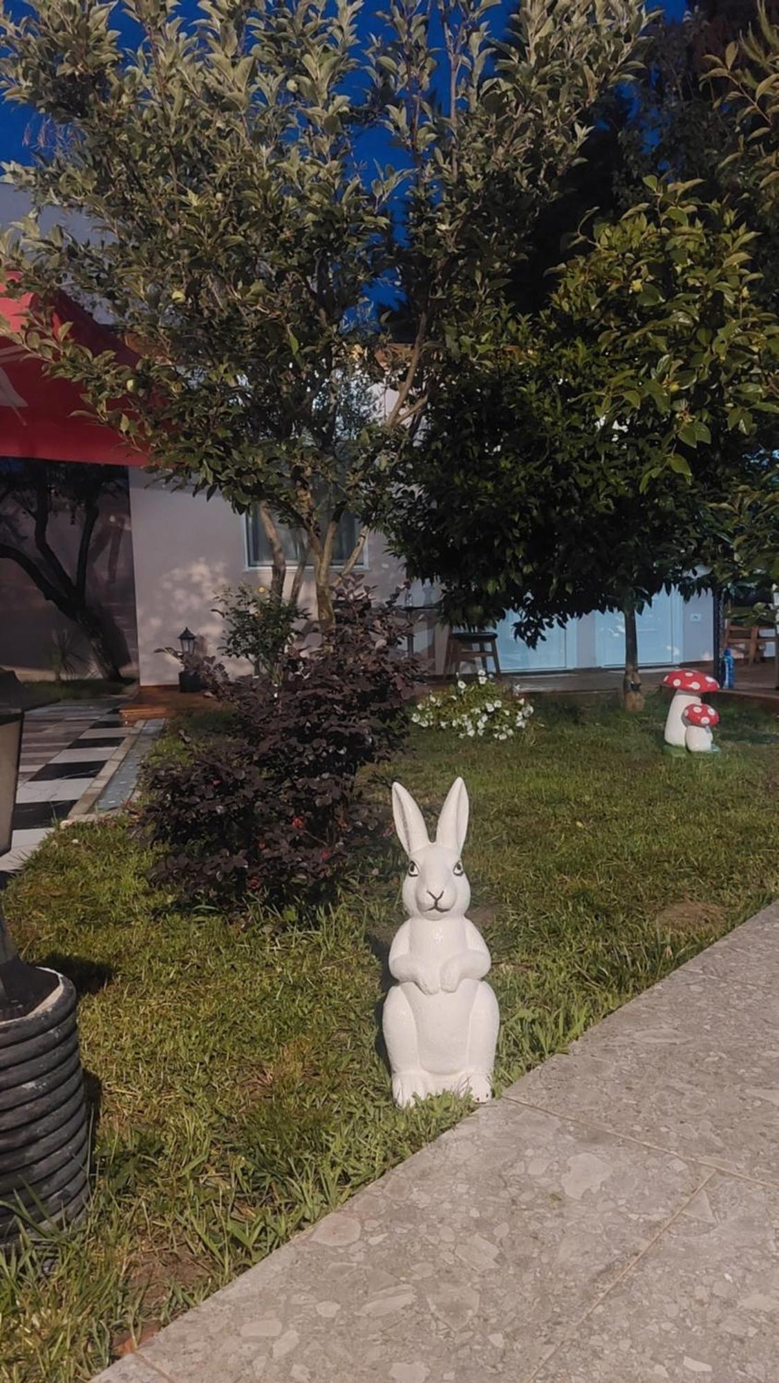 Vila Hyseni Durrës Kültér fotó